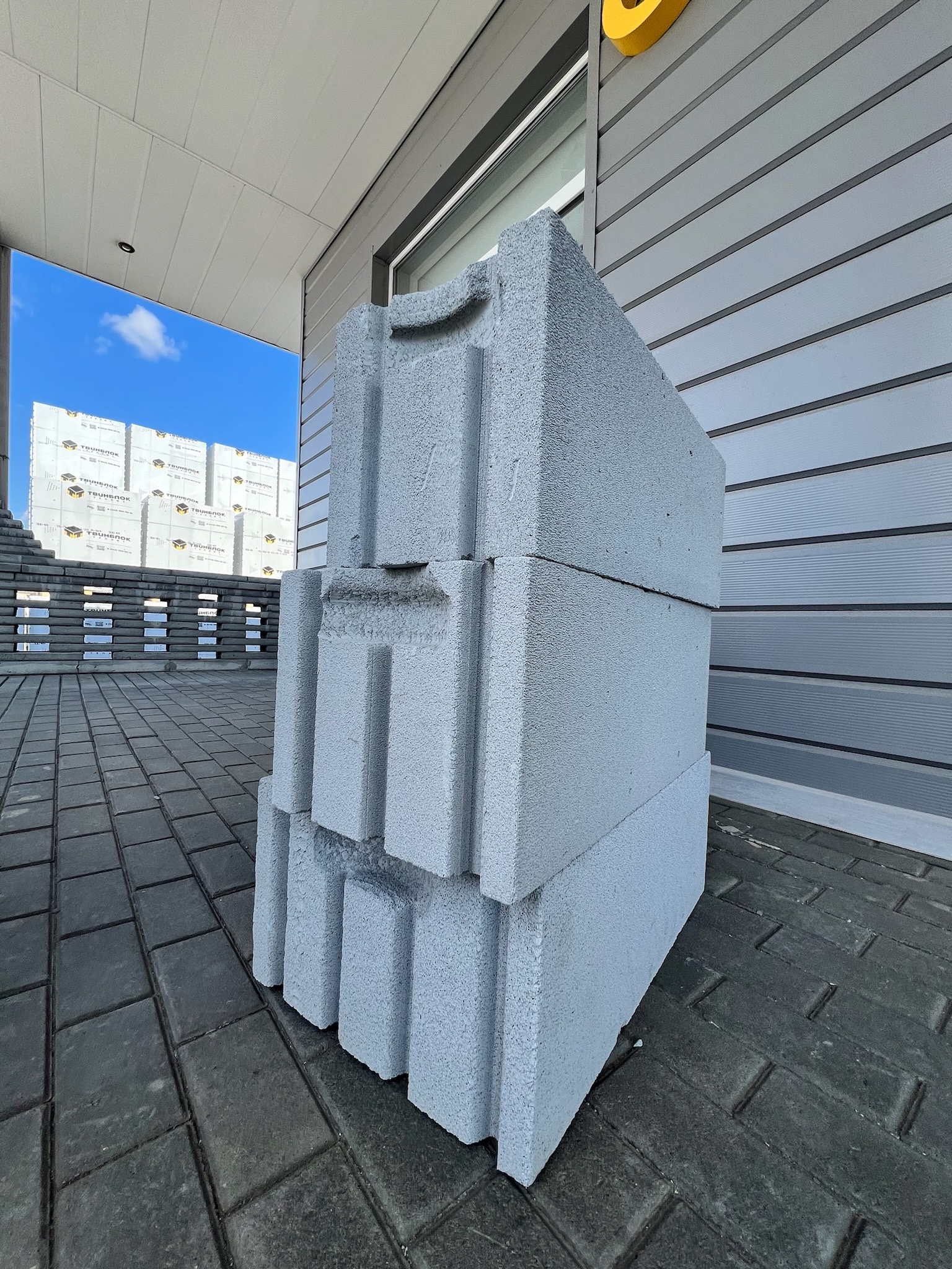 Газобетон ТВИНБЛОК D300 В2.0 625х300х250